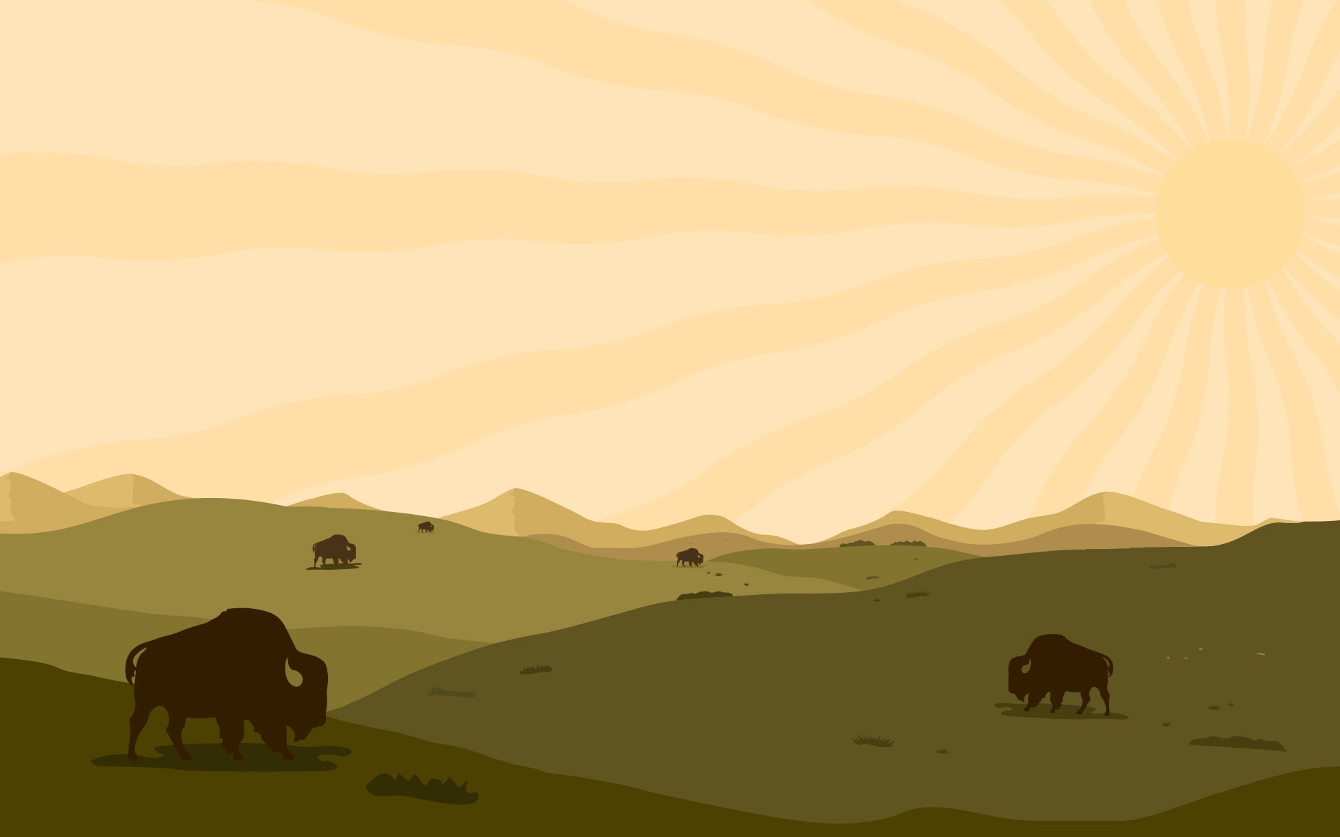 slider image 1621243260e1af0c20-0